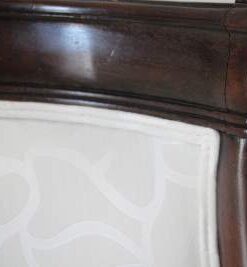 Empire Tub chair- backrest- styylish