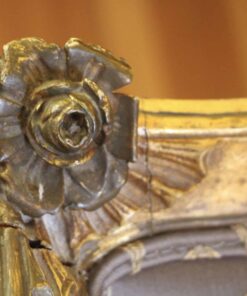 19th Century Gilded Wood Bergere- decoration- styylish