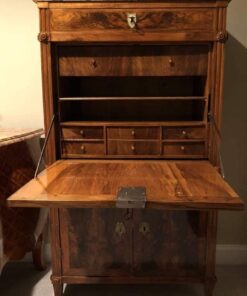 Louis XVI drop front desk- styylish