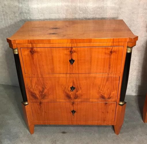 Pair of Biedermeier Commodes- front- styylish