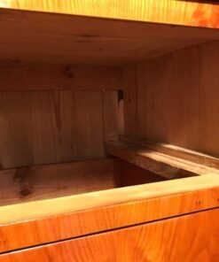 Pair of Biedermeier Commodes- interior- styylish