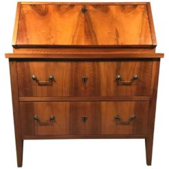 Antique Secretary Desk- 19th century- styylish