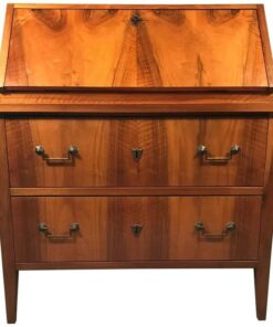 Antique Secretary Desk- 19th century- styylish