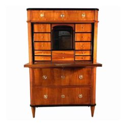 Neoclassical Secretaire- 19th century- styylish