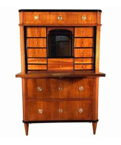 Neoclassical Secretaire- 19th century- styylish