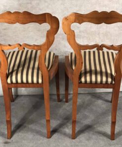 Pair of Biedermeier Chairs- back- styylish