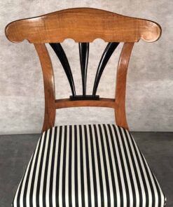 Six Biedermeier Chairs- backrest- styylish