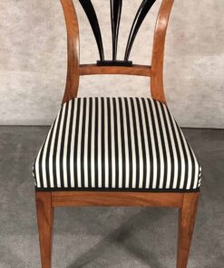 Six Biedermeier Chairs- front- styylish