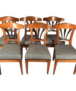 six Biedermeier chairs- 19th century- styylish
