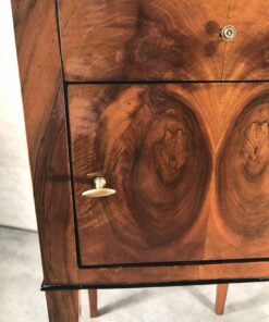 Biedermeier Cabinet- detail of the door- styylish