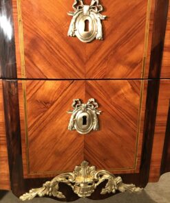 French antique chest- detail of middle part- styylish