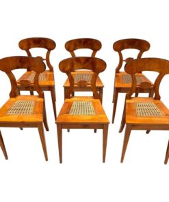 Six Biedermeier Board Chairs - Set of Six - Styylish