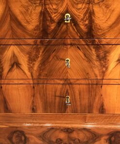 Drop Front secretary desk- drawers- styylish