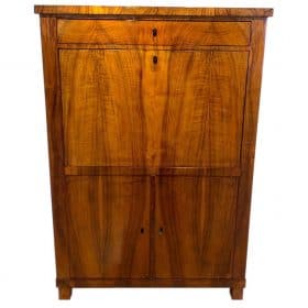 Neoclassical Biedermeier Secrétaire, Walnut, Yew, Ebonized, Germany, circa 1830
