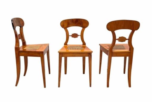 Six Biedermeier Board Chairs - Front and Side View - Styylish