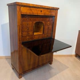 Neoclassical Biedermeier Secrétaire, Walnut, Yew, Ebonized, Germany, circa 1830