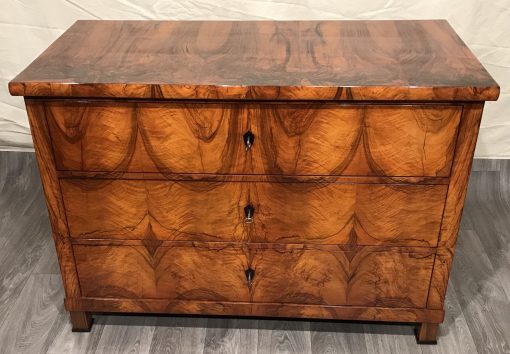 19th century Biedermeier Dresser- view of the front with top- styylish