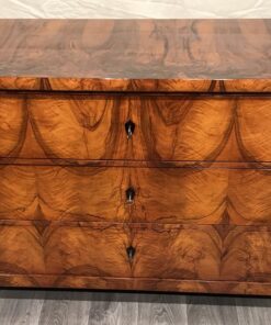 19th century Biedermeier Dresser- view of the front with top- styylish