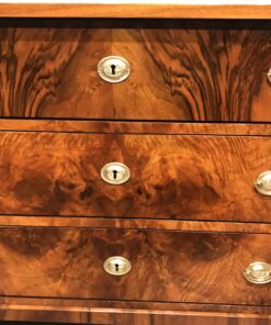 Biedermeier walnut dresser- Detail of drawers- styylish