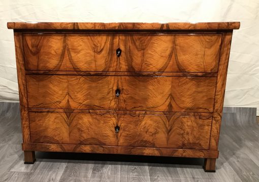 19th century Biedermeier Dresser- view of the front- styylish