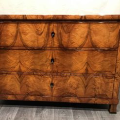 19th century Biedermeier Dresser- view of the front- styylish