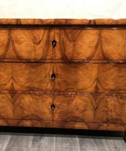 19th century Biedermeier Dresser- view of the front- styylish