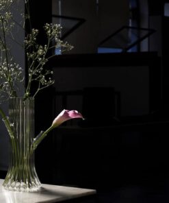 Glass vase Venice- view with flowers- styylish