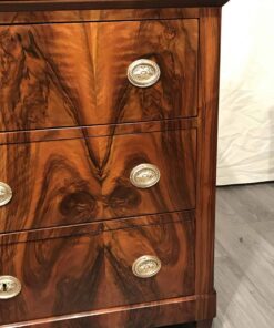 German Biedermeier Dresser- detail of drawers- styylish