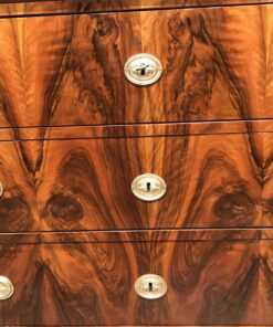 German Biedermeier Dresser- detail with escutcheon- styylish