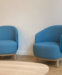 French Chair- blue- Styylish