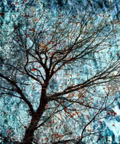 Picture by Sandrine Berthon- styylish