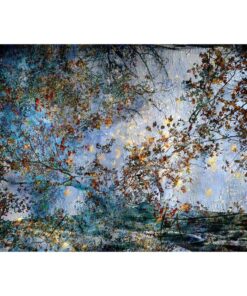 Digital Art- Styylish