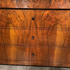 Biedermeier walnut veneer chest- detail view of the front- styylish