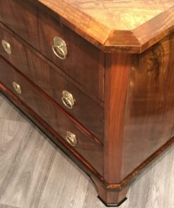 Biedermeier Dresser 1820-view of the corner- styylish