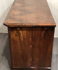 Biedermeier Dresser 1820-side view- styylish