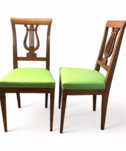 Pair of French Chairs- 19th century- styylish