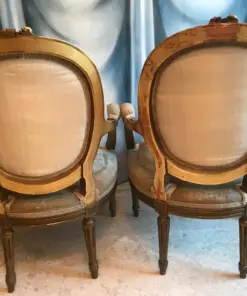 Louis XVI Style Armchairs- backview- Styylish