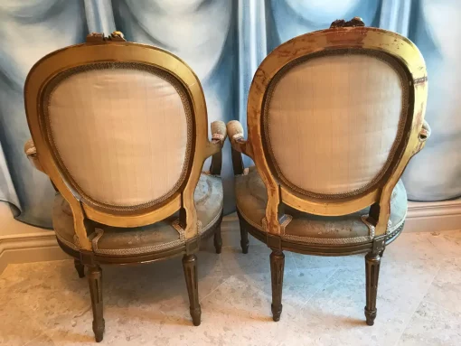 Louis XVI Style Armchairs- backview- Styylish