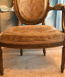 Louis XVI Style Armchairs- frontview- Styylish