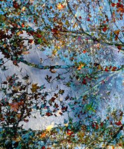 Digital Art-zoom hors du temps- Styylish