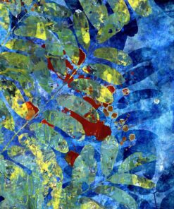 Contemporary Digital Art by Sandrine Berthon, France 21st century- 