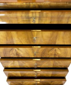 19th century Biedermeier Chiffonier- view of all drawers- Styylish