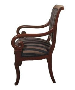 Pair of French 19th century Armchairs- view from the left side- Styylish