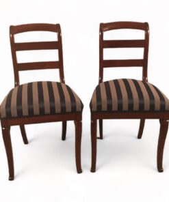Pair of French 19th century chairs- Styylish