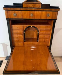 Neoclassical Biedermeier Secretary Desk - Desk Plate - Styylish
