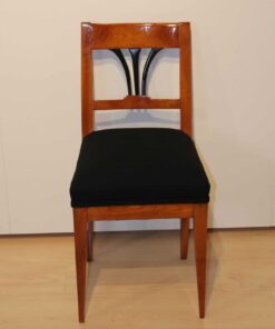 Biedermeier Side Chair - Full Profile - Styylish