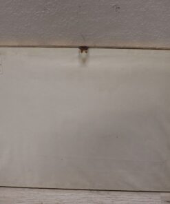 Antique Engraving by Edmé Bouchardon - Back of Frame - Styylish