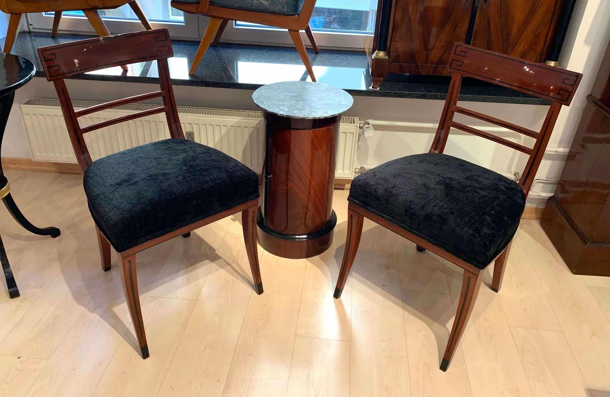 Neoclassical Side Chairs, Mahogany, Ebony, Velvet, Vienna, circa 1820 - Image 14