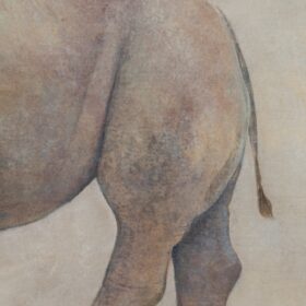 Rhinoceros Painting, Canvas, Contemporary Work