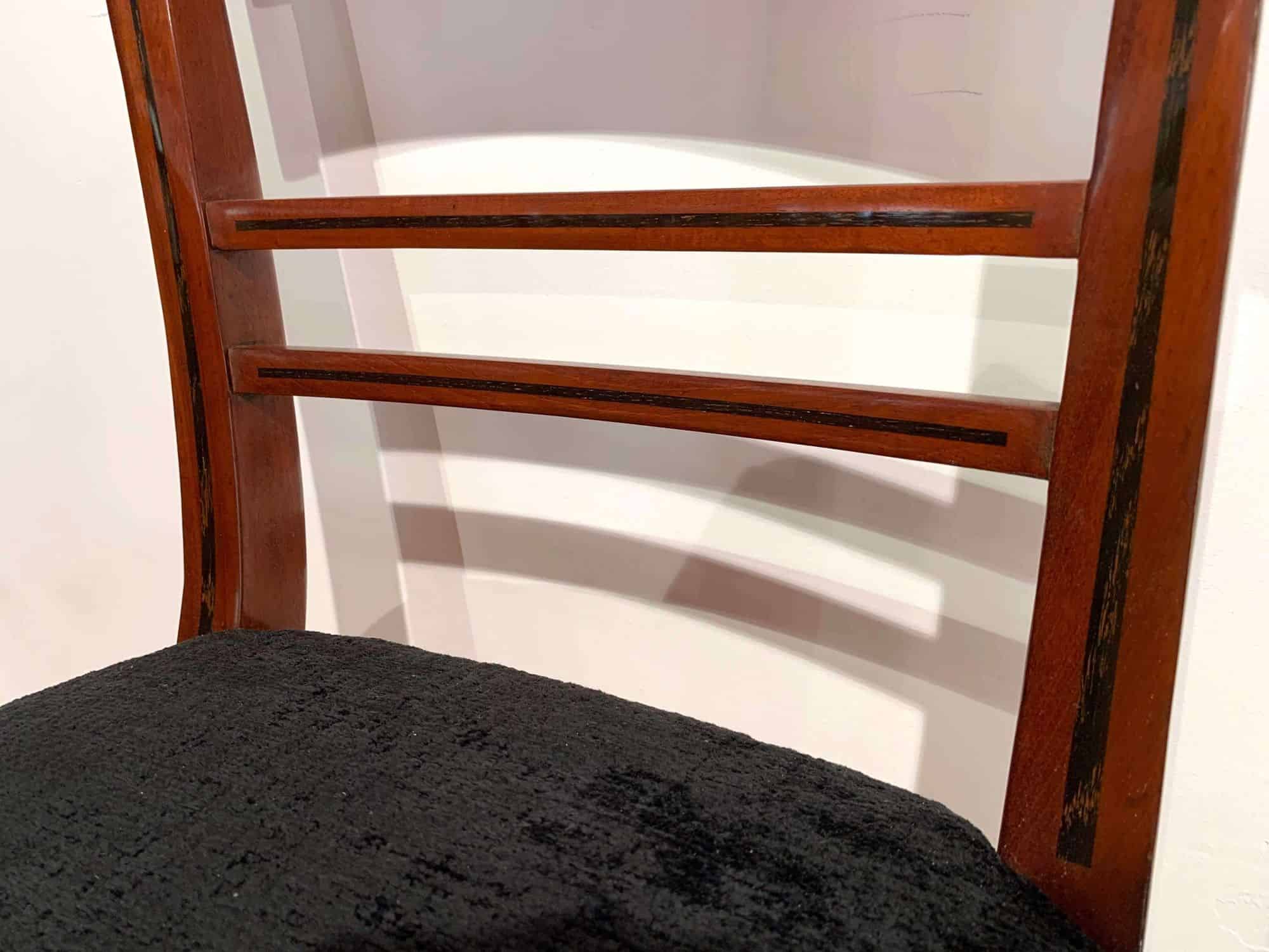 Neoclassical Side Chairs, Mahogany, Ebony, Velvet, Vienna, circa 1820 - Image 9